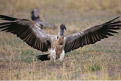 外媒评选10款“选择影响结果”的游戏 《这是我的战争》等